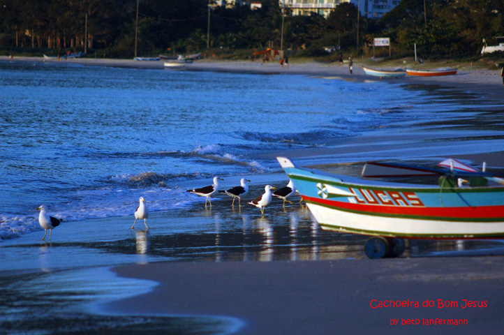 Praias de Floripa - foto 17