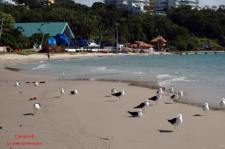 Praias de Floripa - foto 22