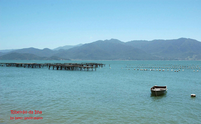 Praias de Floripa - foto 44