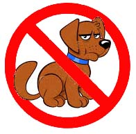 Animais não permitidos